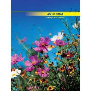 Канцелярская книга А4 для учета