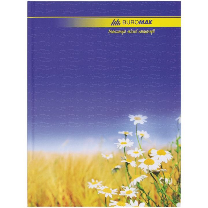 Книга обліку А4 Buromax 96 аркушів (BM.2401)