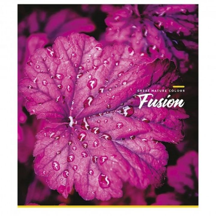 Зошит А5 Fusion Школярик 96 аркушів (096-2620К)