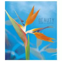 Зошит А5 Beauty Make it happen